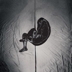 主播户外勾塔路人直播平台
